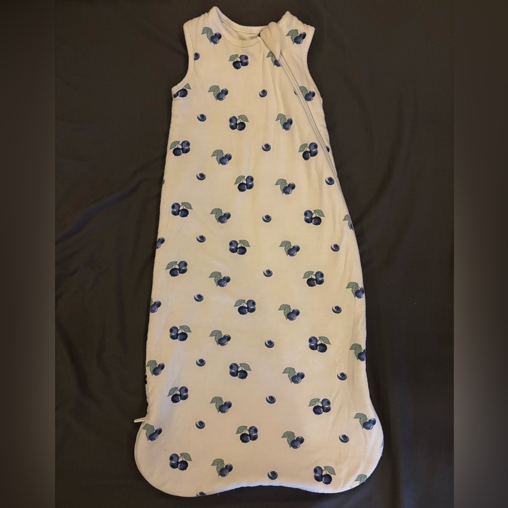 Kyte BABY Blueberry Sleep Bag 1.0 tog